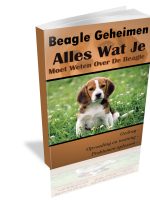 Beagle geheimen