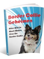 Border collie geheimen