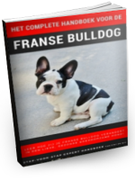 Franse Bulldog handboek