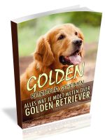 Golden-Retriever-Geheimen