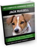 Jack russel handboek