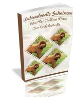 labradoodle-geheimen-3d-1-913x1024__opdb-op64cb8132b79cb5-23541894